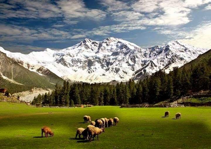 Visit Fairy Meadows: The Ultimate Nature Escape